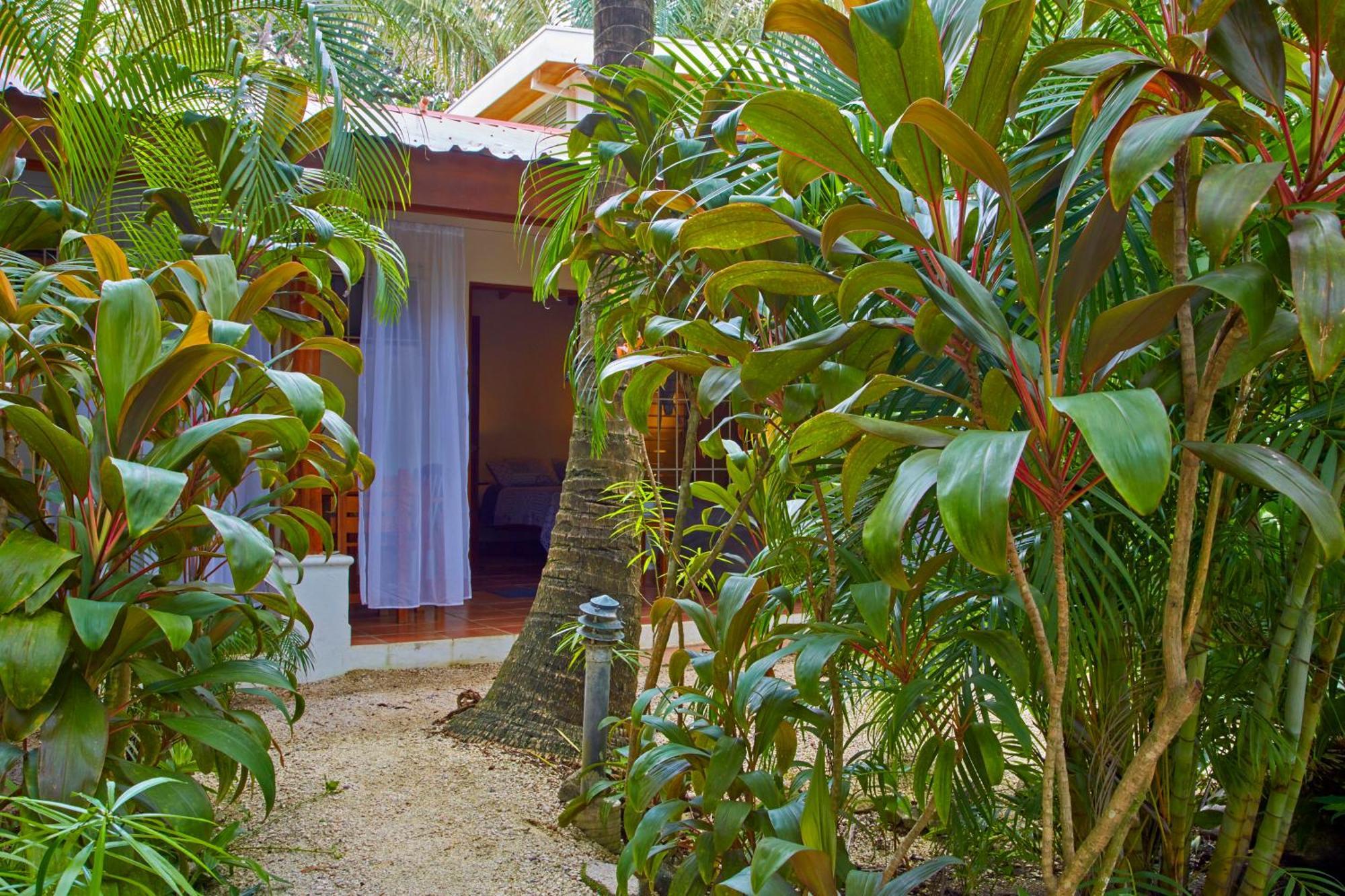 Living Hotel Nosara Rom bilde